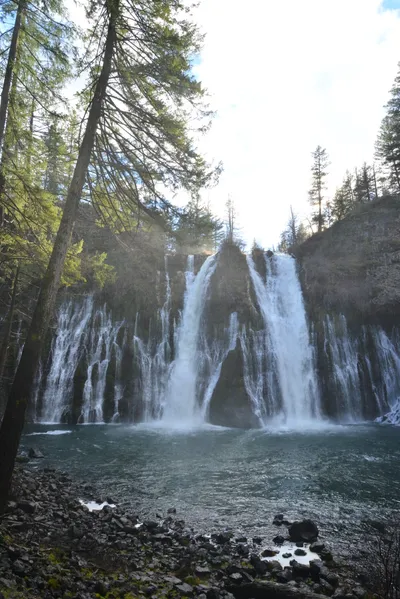 DSC_5954 (Large).JPG